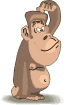 Monos-35.gif