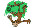 Monos-37.gif