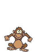 Monos-52.gif