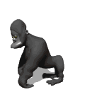 Monos-54.gif