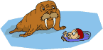 Morsas-15.gif