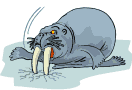 Morsas-16.gif