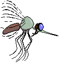 Mosquito-02.gif