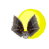 Murcielagos-10.gif