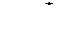 Murcielagos-37.gif