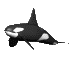 Orca-02.gif