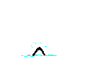 Orca-05.gif