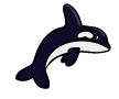 Orca-06.gif