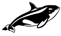 Orca-12.gif