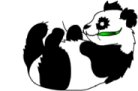 Osos-Pandas-03.gif