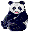Osos-Pandas-10.gif