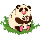 Osos-Pandas-15.gif