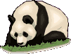 Osos-Pandas-16.gif