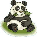 Osos-Pandas-19.gif
