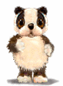 Osos-Pandas-23.gif