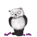 Osos-Pandas-24.gif