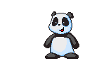 Osos-Pandas-26.gif