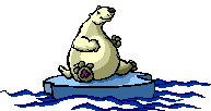 Oso-Polar-06.gif