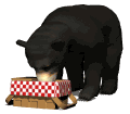Osos-106.gif