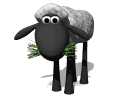 Ovejas-13.gif