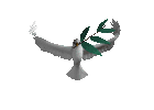 Palomas-01.gif
