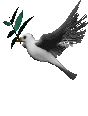 Palomas-03.gif
