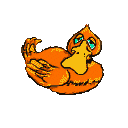 Pato-02.gif