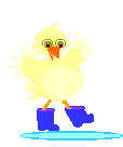 Pato-11.gif