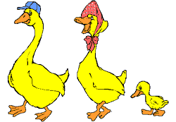 Pato-12.gif
