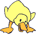 Pato-16.gif