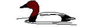 Pato-19.gif