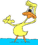 Pato-21.gif