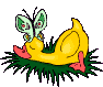 Pato-22.gif