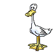 Pato-33.gif