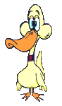Pato-35.gif