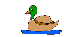 Pato-38.gif