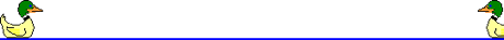 Pato-39.gif
