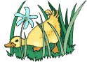 Pato-41.gif