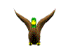 Pato-42.gif