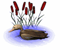 Pato-45.gif