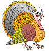 Pavo-07.gif