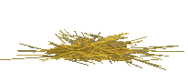 Pavo-08.gif