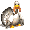 Pavo-12.gif