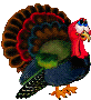 Pavo-15.gif