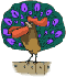 Pavo-20.gif