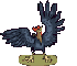 Pavo-21.gif