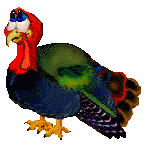Pavo-23.gif