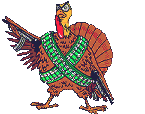 Pavo-26.gif