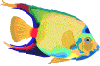 Pez-tropical-17.gif