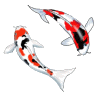 Peces-105.gif